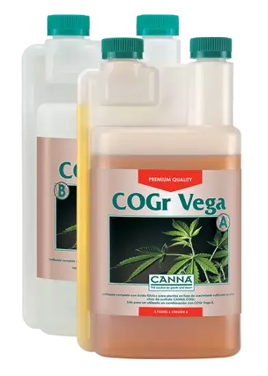 CANNA COGr Vega