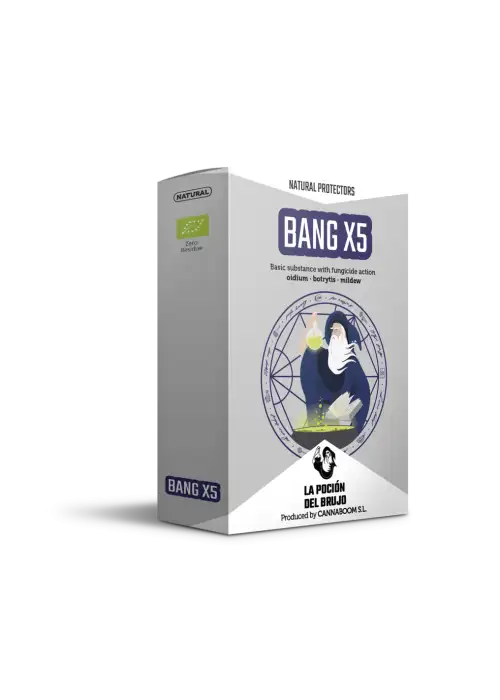 Bang X5