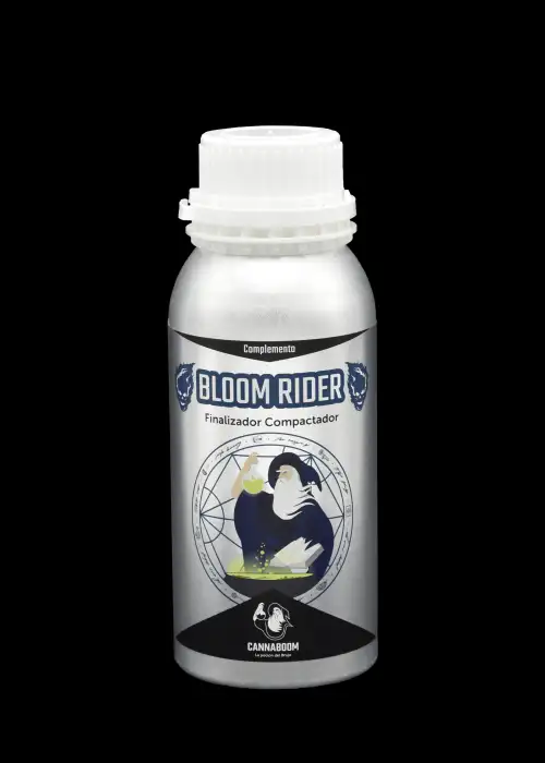 Bloom Rider