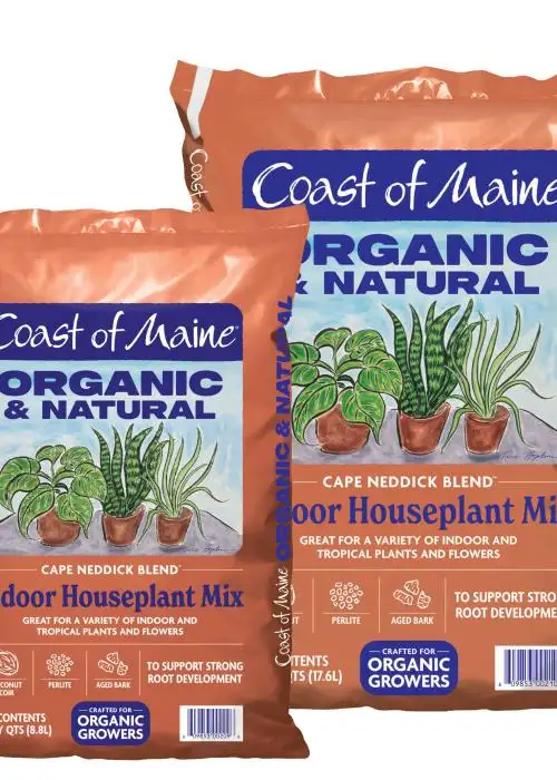Cape Neddick Blend Organic & Natural Indoor Houseplant Mix