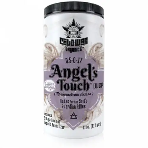 Angel’s Touch