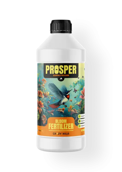 Prosper