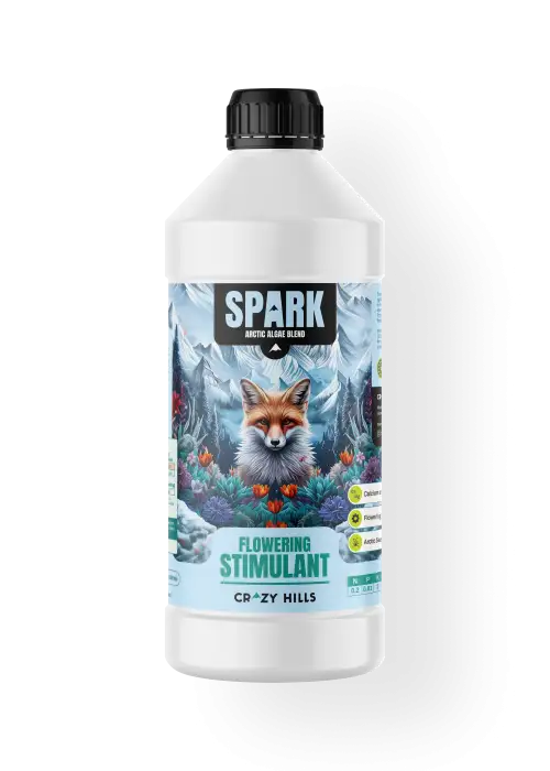 Spark