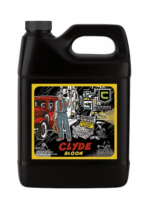 Clyde