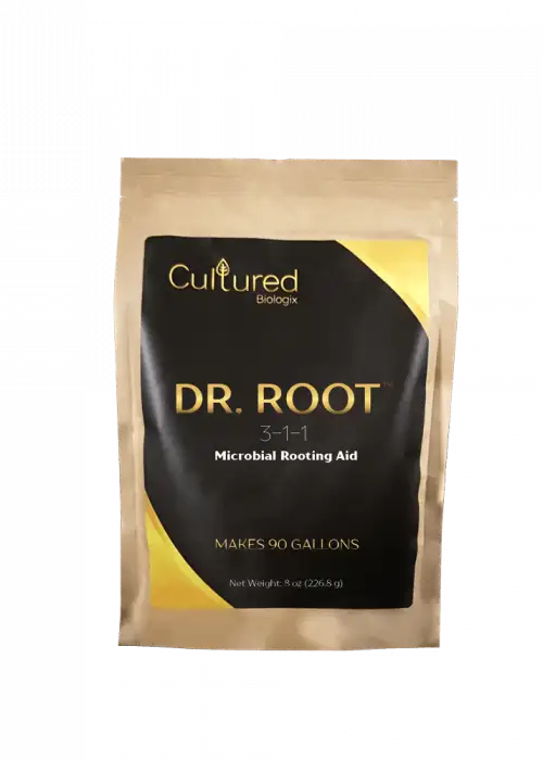 Dr. Root