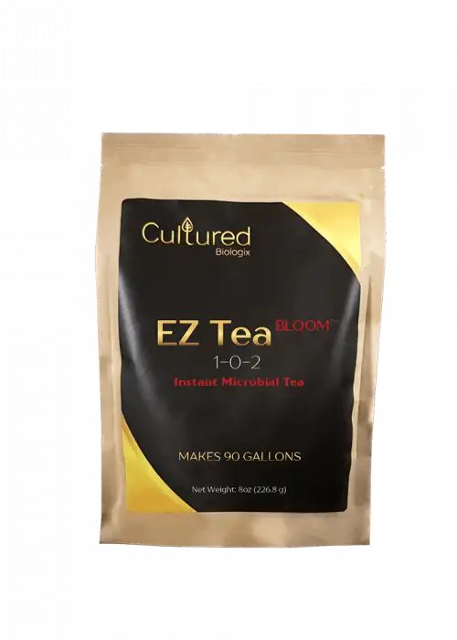 EZ Tea Bloom