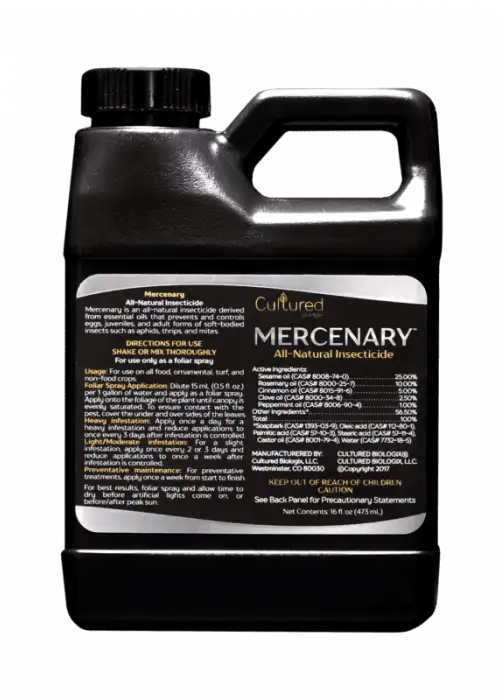 Mercenary