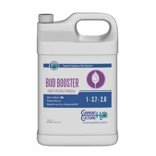Bud Booster Early