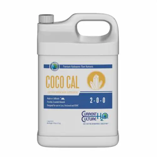 Coco Cal