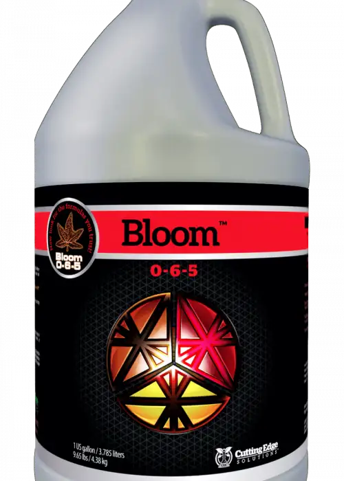 Bloom 0-6-5