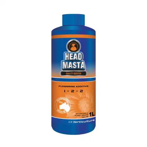 Head Masta