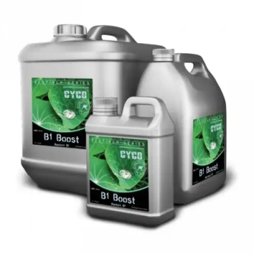 B1 Boost