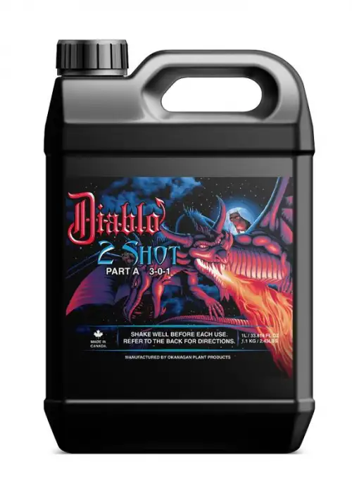 Diablo 2 Shot A