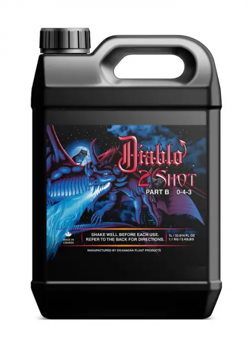Diablo 2 Shot B