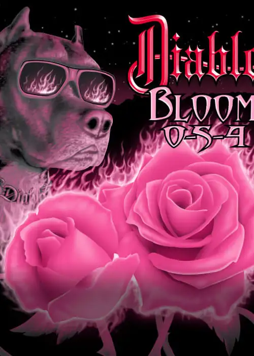 Diablo Bloom
