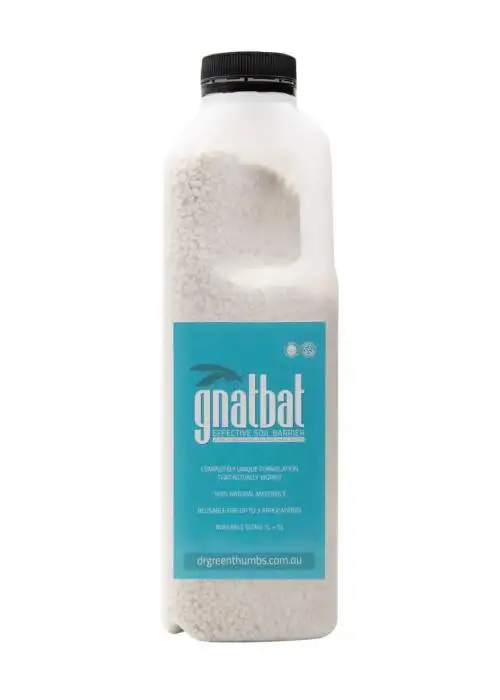Gnat Bat