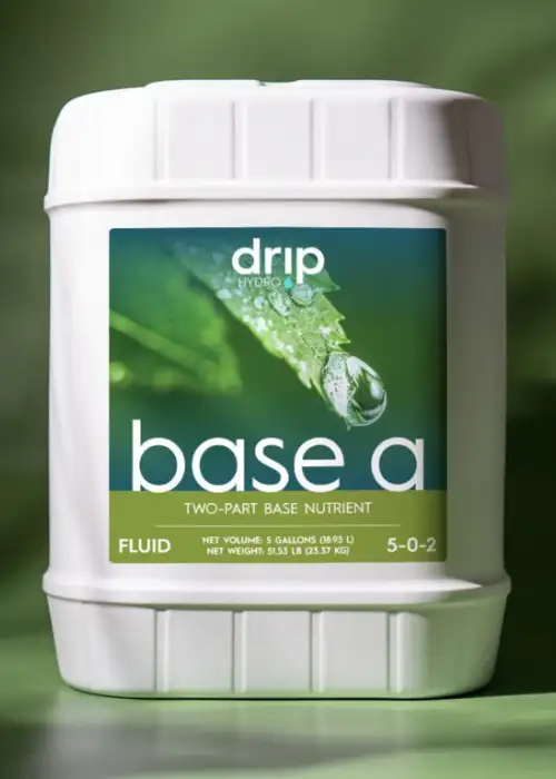 Base A