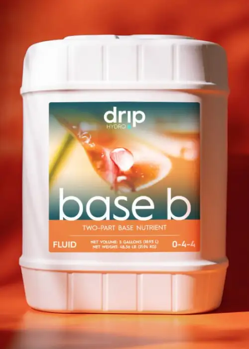 Base B