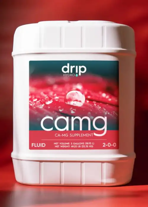 CaMg