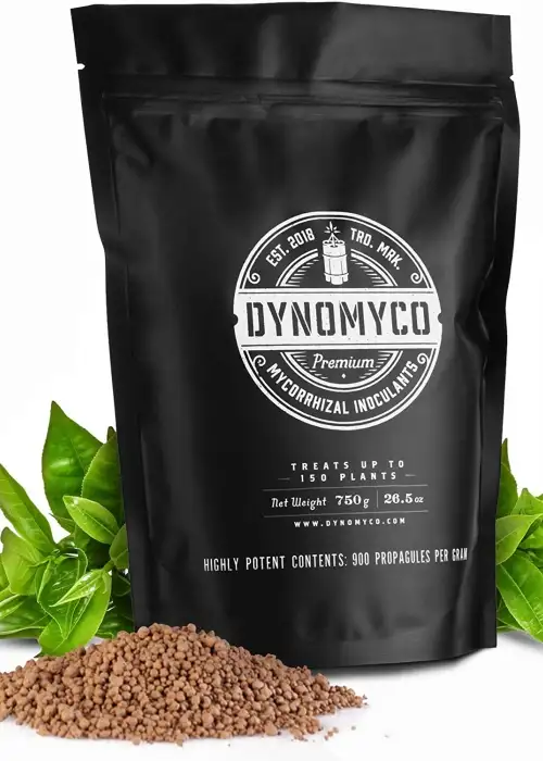Mycorrhizal Inoculant