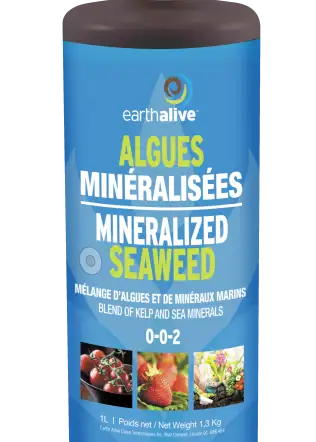 Mineralized Seaweed