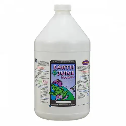 Bloom Original Formula