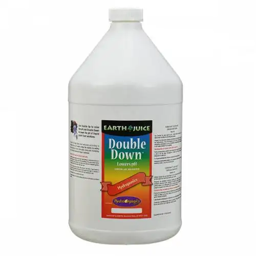 Double Down