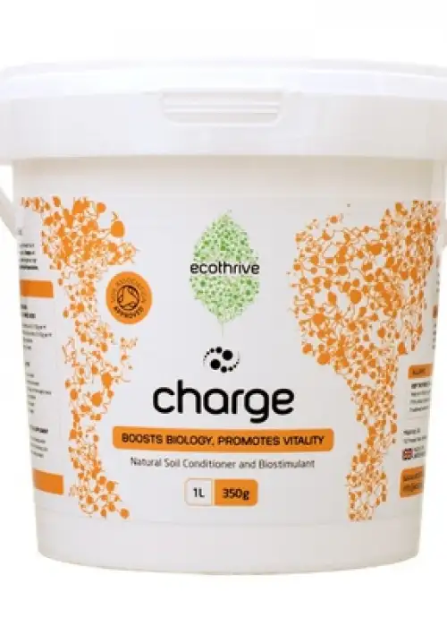 Charge