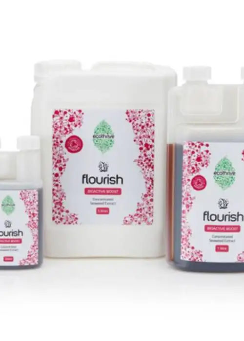 Flourish