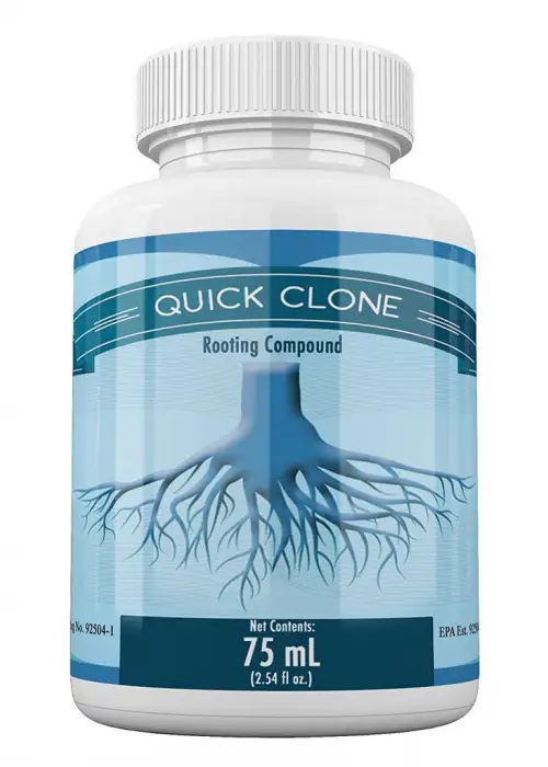 Quick Clone Gel