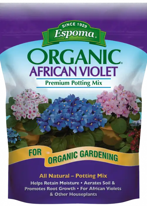 African Violet Mix