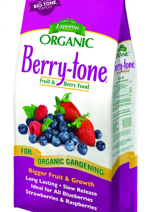 Berry-tone