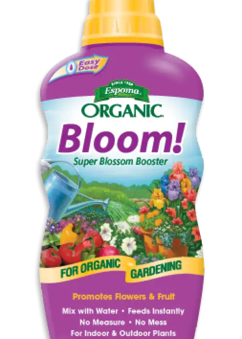 Bloom!