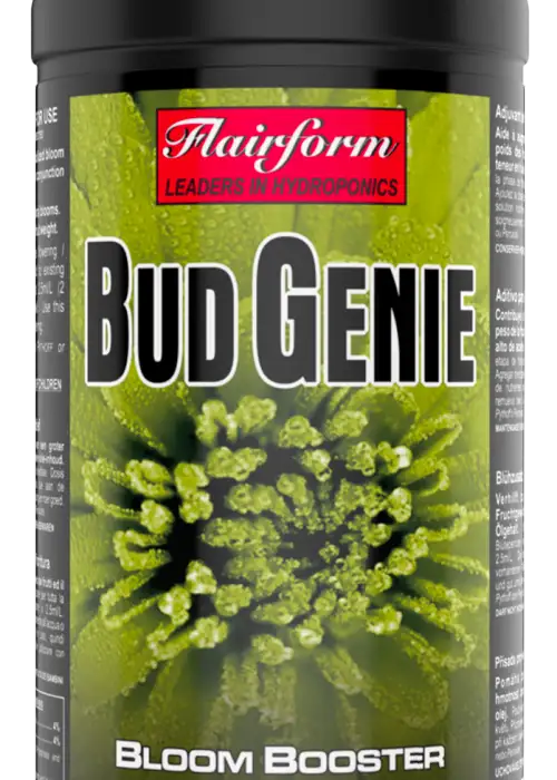 BudGenie