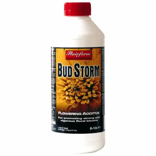BudStorm