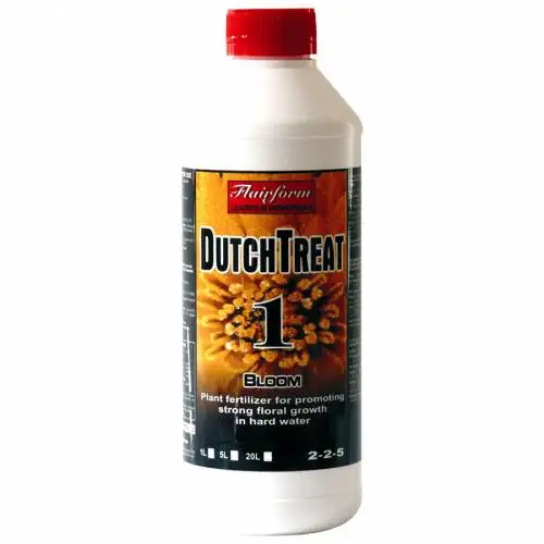 DutchTreat Bloom