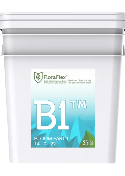 B1 Bloom Part 1