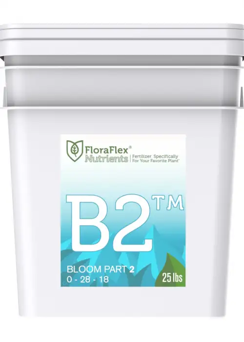 B2 Bloom Part 2