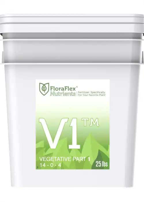 V1 Vegetative Part 1