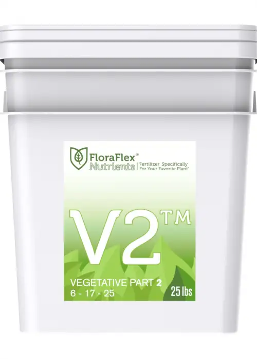 V2 Vegetative Part 2