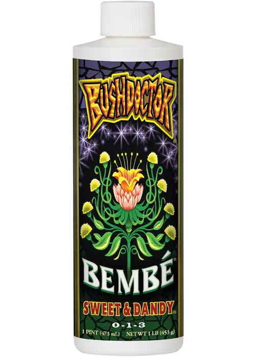 Bush Doctor Bembe Quart