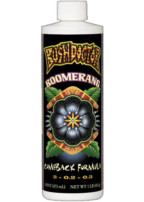 Bush Doctor Boomerang