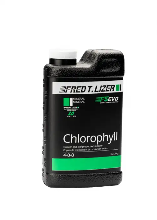Chlorophyll