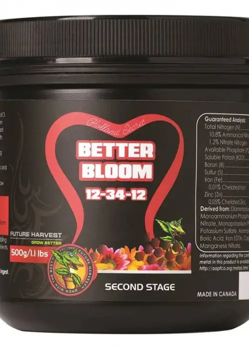 Better Bloom