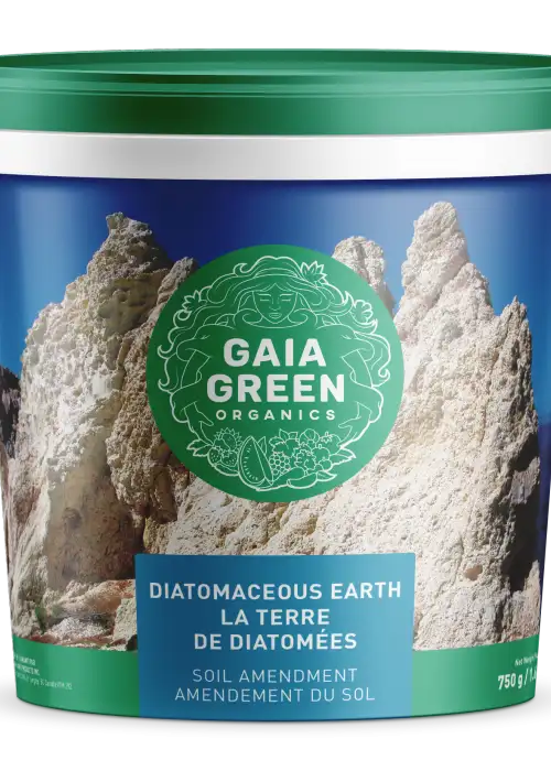 Diatomaceous Earth