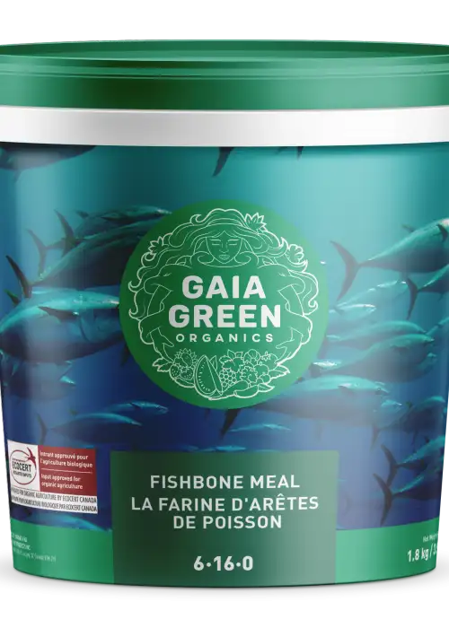 Fishbone Meal