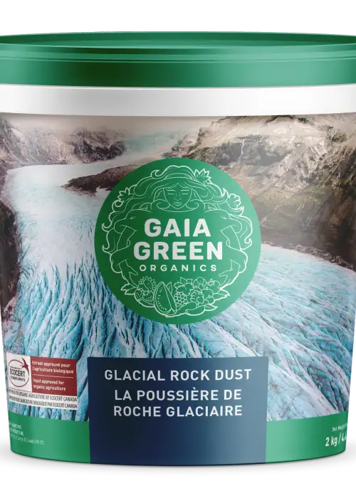 Glacial Rock Dust