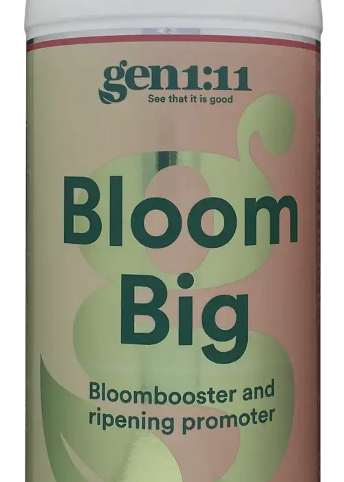 Bloom Big