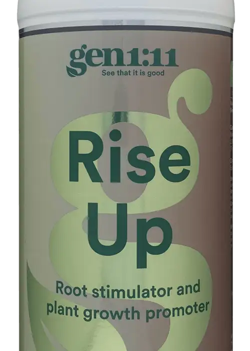 Rise Up