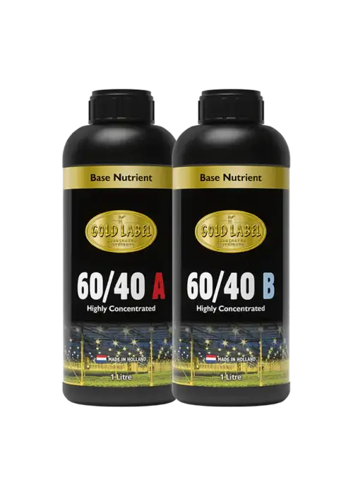 60/40 B
